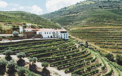 QUINTA DA GRICHA