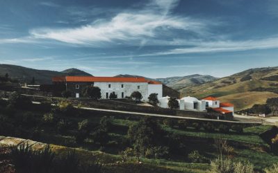 VENTOZELO HOTEL & QUINTA ****